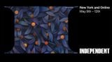 Contemporary art art fair, Independent New York at GRIMM, White Street, New York, United States