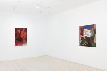 Exhibition view: Tonee Messiah, Of the Known Kind, Gallery 9 (22 March–15 April 2023). Courtesy Gallery 9, Sydney.