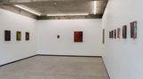 Contemporary art exhibition, Tyne Gordon, Sourdust at Jhana Millers, Wellington, New Zealand