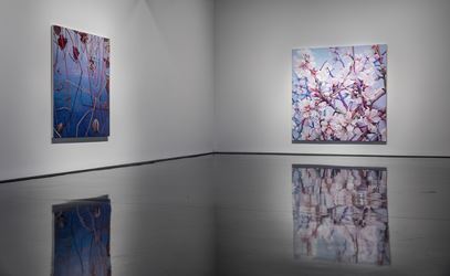 Exhibition view: Tim Maguire, The Floating World, Tolarno Galleries, Melbourne (25 May–24 June 2017). Courtesy Tolarno Galleries.