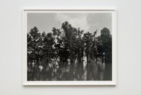 Mississippi River and Trees by Dawoud Bey contemporary artwork photography