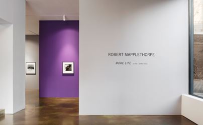 Exhibition view: Robert Mapplethorpe, Robert Mapplethorpe: More Life, Kukje Gallery K2, Seoul (18 February–28 March 2021). Courtesy Kukje Gallery.