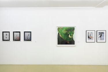 Exhibition view: Group Exhibition, Photography as a Tool, Galerie Krinzinger, Krinzinger Schottenfeld, Vienna (16 May–15 June 2023). Courtesy Galerie Krinzinger.