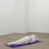 Klaus Weber contemporary artist