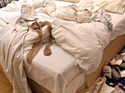 How Do You Make Tracey Emin'S Bed?