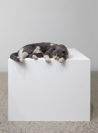 The thermals made me lazy, or The squatters (Smoky meet Monk’s Deflated Sculpture II (2009)) by Ryan Gander contemporary artwork sculpture