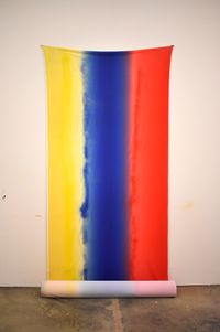 Wall bones: I am afraid of red yellow blue by Polly Apfelbaum contemporary artwork mixed media