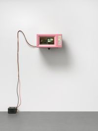 Ameratherm Microwave #2 (Harmonization) by Julia Scher contemporary artwork sculpture