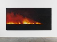 Fire (America) 2 by Teresita Fernández contemporary artwork mixed media