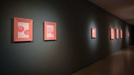 Exhibition view: Zhao Zhao, Pink 粉色, Lin & Lin Gallery, Taipei (8 May–19 June 2020). Courtesy Lin & Lin Gallery.