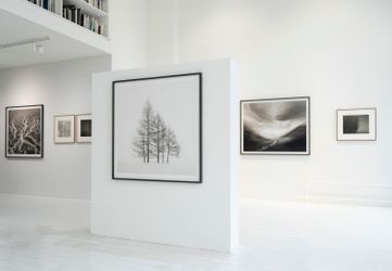 Exhibition view: Jeffrey Conley, Resonance, Bildhalle, Zurich (7 April–18 June 2022). Courtesy Bildhalle. 