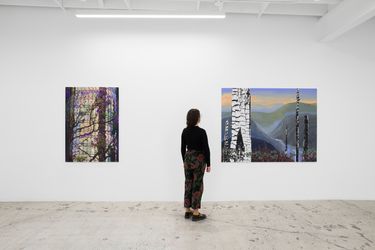 Exhibition view: Melissa Brown, West Coast Paintings, Anat Ebgi, Mid Wilshire, Los Angeles (2 April–7 May 2022). Courtesy Anat Ebgi.