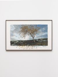 Backwards Growing Tree (Italian Winter) by David Claerbout contemporary artwork painting