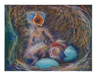 Robin's nest 2 by John Kelsey contemporary artwork works on paper