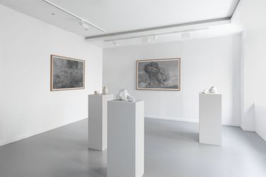 Exhibition view: Thu Van Tran, Beyond the need for consolation, Almine Rech, Paris (16 October–13 November 2021). © Thu Van Tran. Courtesy the artist and Almine Rech. 