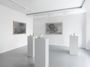 Contemporary art exhibition, Thu Van Tran, Beyond the need for consolation at Almine Rech, Paris, Rue de Turenne, France