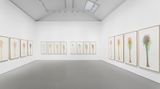 Contemporary art exhibition, Charles Gaines, Gridwork: Palm Canyon Watercolors at Galerie Max Hetzler, Paris, France