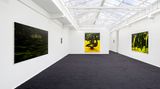 Contemporary art exhibition, Douglas Eynon, Permanent Guest Host at rodolphe janssen, Brussels, Belgium