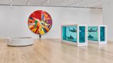 Contemporary art event, Damien Hirst, DAMIEN HIRST: TO LIVE FOREVER (FOR A WHILE) at Museo Jumex, Mexico City