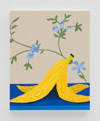 Banana peel by Alec Egan contemporary artwork painting, works on paper