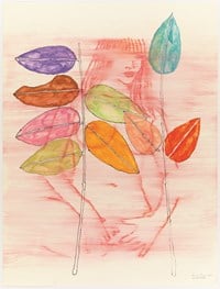 Sweet Falls by Reza Farkhondeh & Ghada Amer contemporary artwork works on paper
