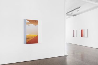 Exhibition view: Ian Wallace, In The Museum, Galerie Greta Meert, Brussels (12 May–2 July 2022). Courtesy Galerie Greta Meert.