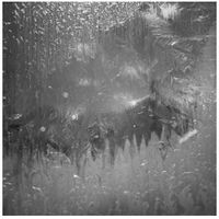 Crystals, Siberia I by Tomoko Yoneda contemporary artwork photography