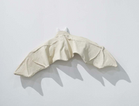 Clothes for Bat by Han Feng contemporary artwork mixed media
