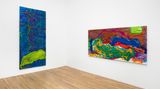 Contemporary art exhibition, Sylvia Snowden, Green Paintings at Andrew Kreps Gallery, 394 Broadway, USA