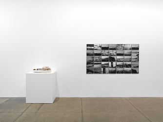 Exhibition view: Group Exhibition, Rhe: everything flows;, Galerie Lelong & Co., New York (7 January–13 February 2021).  Courtesy Galerie Lelong & Co., New York. 