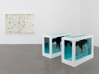 Exhibition view: Damien Hirst, Natural History, Gagosian, Britannia Street, London (10 March–14 April 2022). © Damien Hirst and Science Ltd. All rights reserved, DACS 2022. Courtesy Gagosian. Photo: Prudence Cuming Associates Ltd..