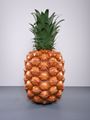 Pineapple by John Baldessari contemporary artwork 1