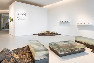 Exhibition view: Healing Forest, Seojung Art Busan (July 11–August 31, 2022)