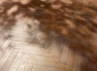 Parkett / Parquetry by Thomas Demand contemporary artwork photography