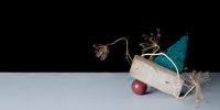 Red ball, a Block of Wood, Triangle-Strange Encounter of Plants by Seongyeon Jo contemporary artwork photography