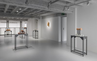 Exhibition view: Group Exhibition, Graft. Materials and Purposes, Galeria Plan B, Berlin (3 June–29 July 2023). Courtesy Plan B Cluj, Berlin. Photo: Trevor Good.