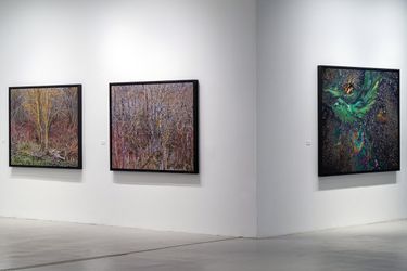 Exhibition view: Edward Burtynsky, African Studies, Sundaram Tagore Gallery, New York (2 March–1 April 2023). Courtesy Sundaram Tagore Gallery.