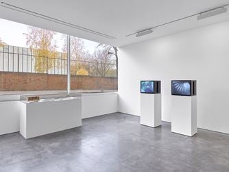 Exhibition view: Roy Colmer, Lisson Gallery London (25 November 2017–13 January 2018). © Roy Colmer Estate. Courtesy Lisson Gallery, London. Photo: George Darrell.