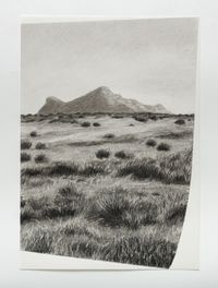 Horton plains 4 by Muhanned Cader contemporary artwork works on paper, drawing
