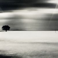 Biwa Lake Tree Study 5 by Michael Kenna contemporary artwork photography, print