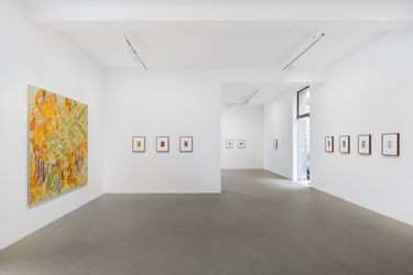 Contemporary art exhibition, Gabriel Orozco, Diario de plantas at Galerie Chantal Crousel, Paris, France