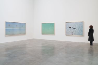 Exhibition view: Richard Misrach, At the still point of the turning world, 2002-2022, Pace Gallery, 510 West 25th Street, New York (11 March–16 April 2022). Courtesy Pace Gallery.