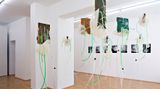 Contemporary art exhibition, Christina Maria Pfeifer, Planetary Fungi at Boutwell Schabrowsky, Munich, Germany