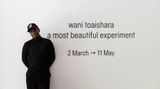 Contemporary art event, Wani Toaishara, a most beautiful experiment at West Space, Melbourne, Australia