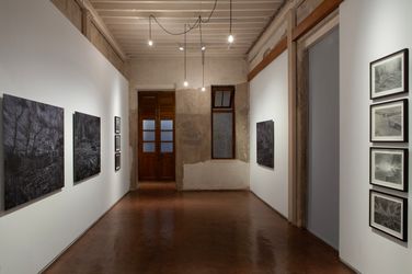 Exhibition view: Pranay Dutta, Archipelago of Storms and Spirits, Jhaveri Contemporary, Mumbai (14 March–20 April 2024). Courtesy Jhaveri Contemporary.