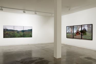Exhibition view: Mark Adams, Hinemihi – Te Hokinga – The Return, Two Rooms, Auckland (24 July–29 August 2020). Courtesy Two Rooms.