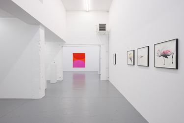 Exhibition view: Group exhibition, Zeno X Gallery, Antwerp (18 September–19 October 2019). Courtesy Zeno X Gallery.