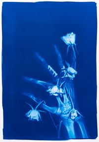 Blue Bone No. 36 by Hu Weiyi contemporary artwork print