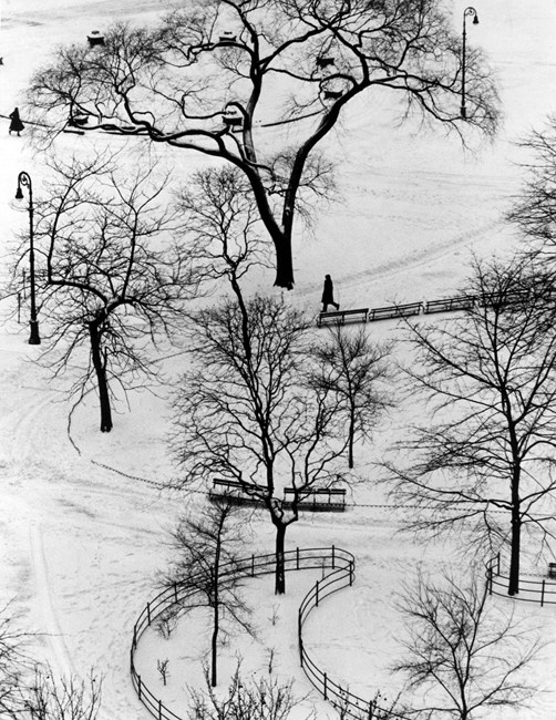 Washington Square Day by André Kertész contemporary artwork