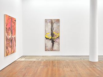 Exhibition view: Judy Millar, Here You Are, Michael Lett, Auckland (9 March–20 April 2024). Courtesy Michael Lett.